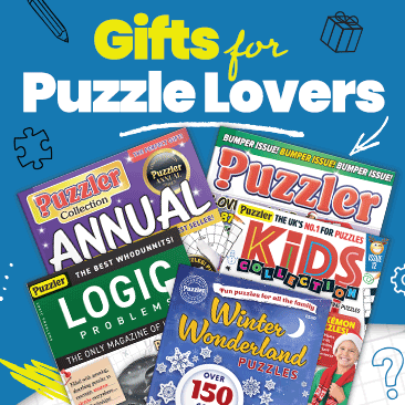 Top puzzle gifts